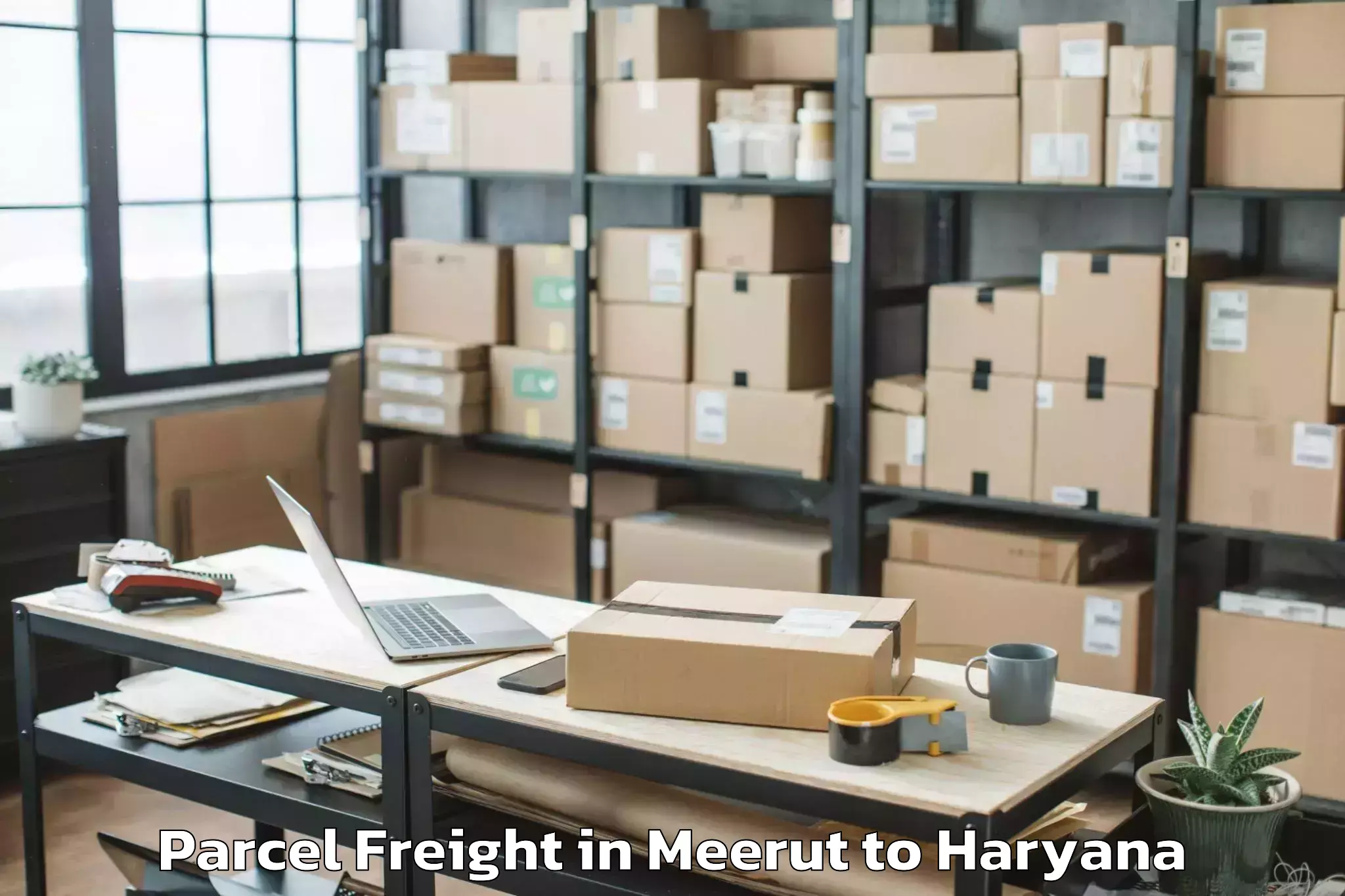 Top Meerut to Charkhi Dadri Parcel Freight Available